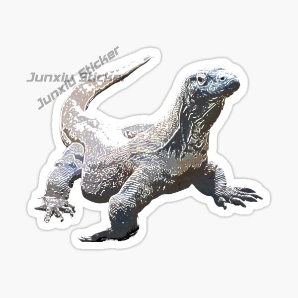 Komodo National Park Komodo Is - огляд і ціна Car Accessories Bali